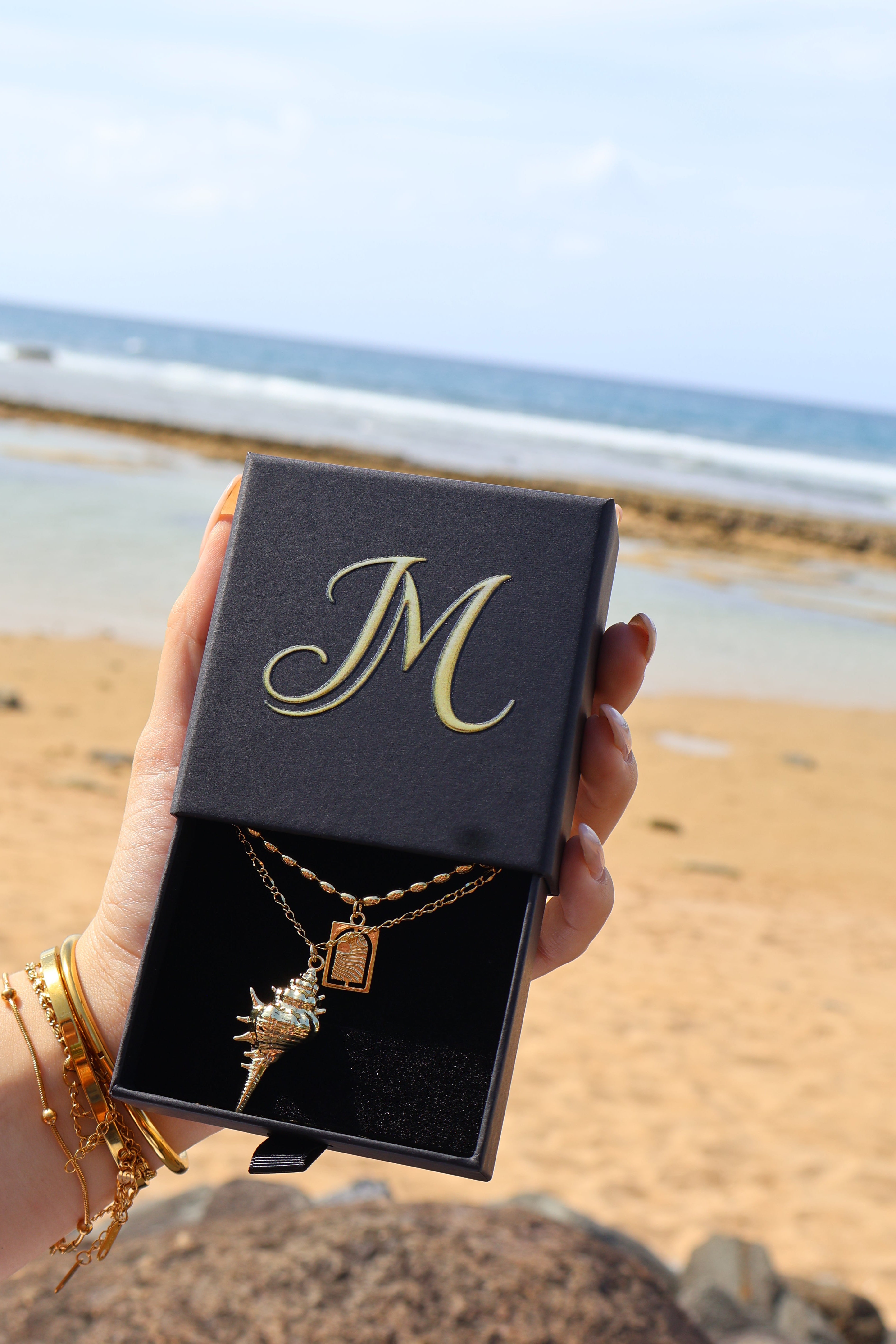 Seashell Necklace