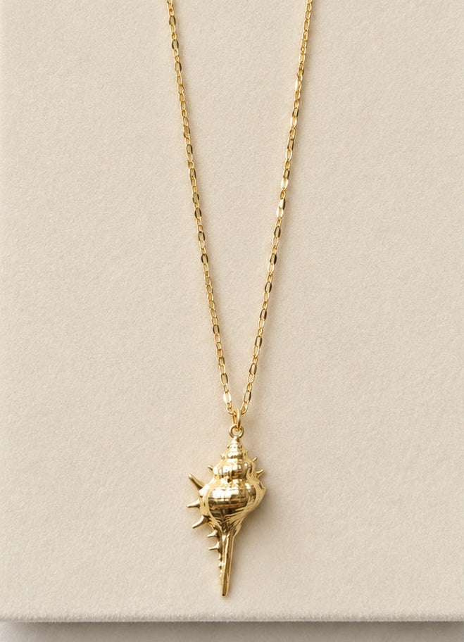 Seashell Necklace