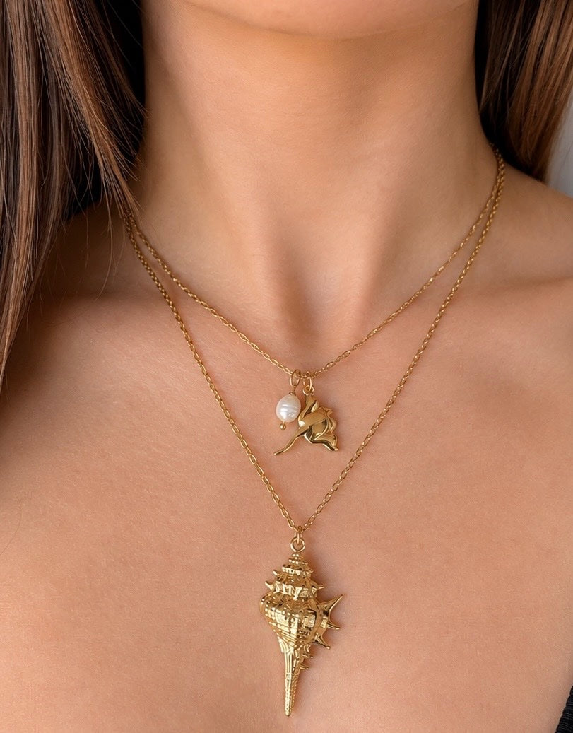 Seashell Necklace